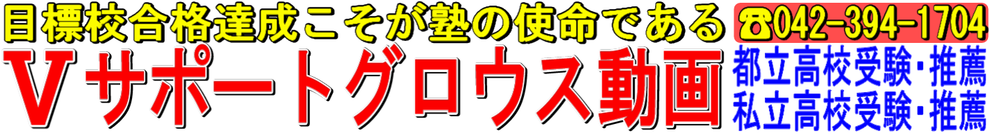 Ⅴサポートグロウス動画